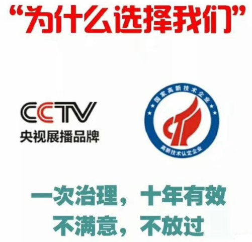 除甲醛公司如何選擇？