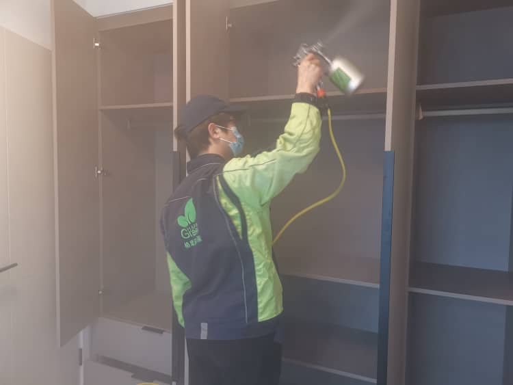 蔡甸除醛花幾多錢？格瑞樂超劃算！