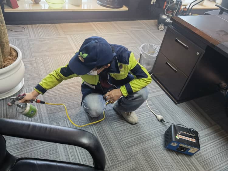 武漢新屋鋪地板，甲醛隱患別忽視！這樣治理才安心