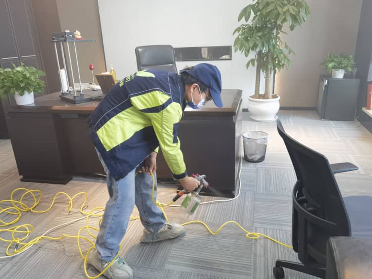 武漢除甲醛選格瑞樂！全場景治理，終身質(zhì)保放心住